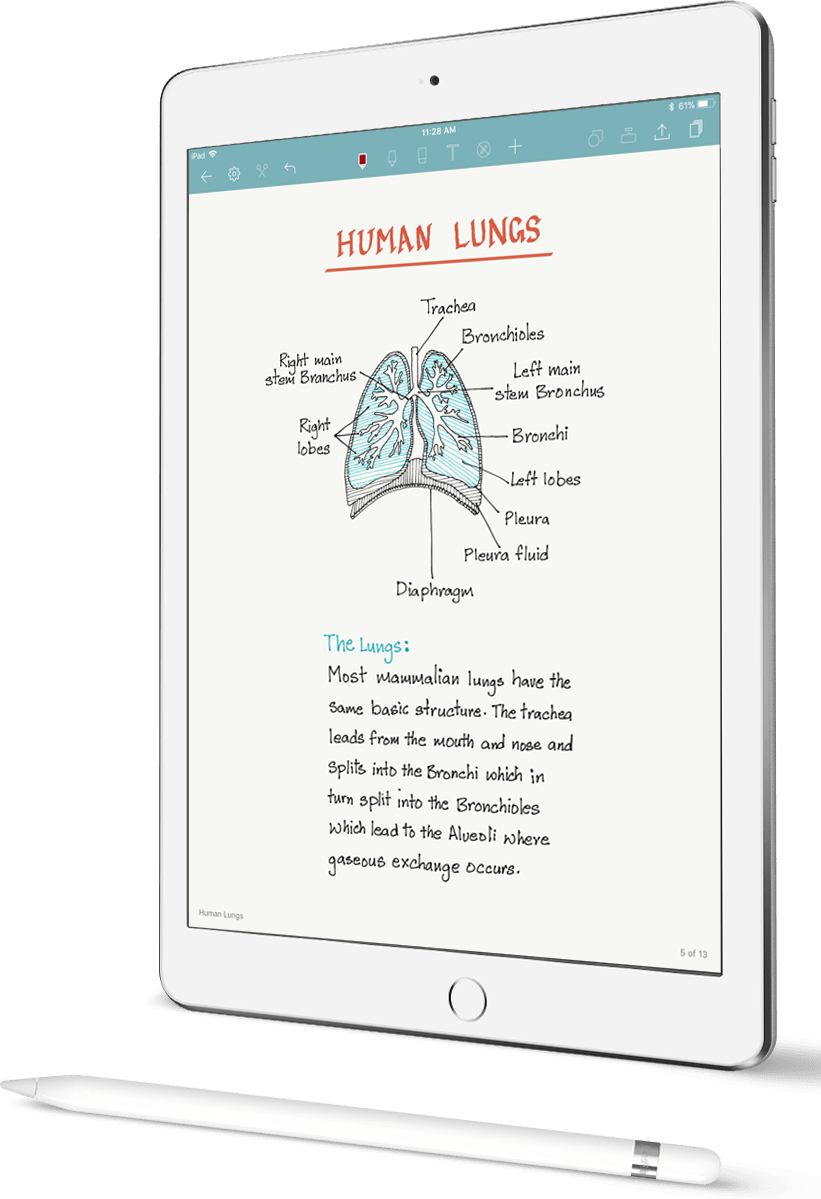 Noteshelf Ipad