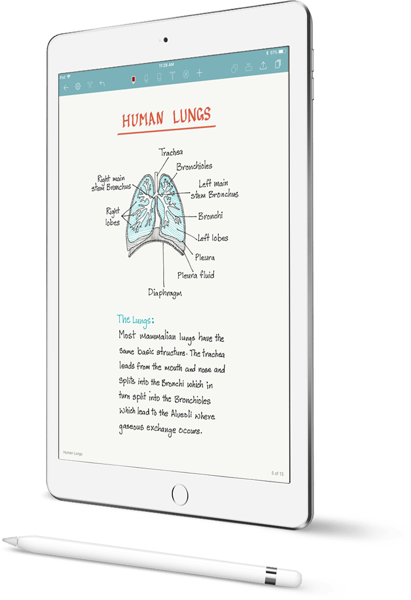 Noteshelf Ipad